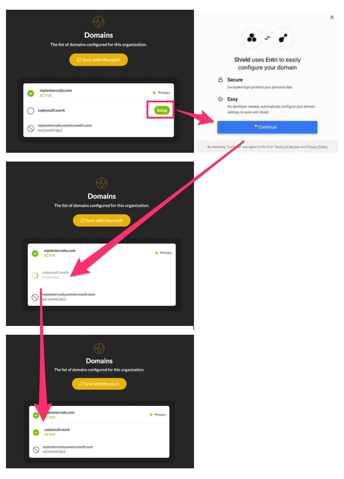 Set up skipped domain.png