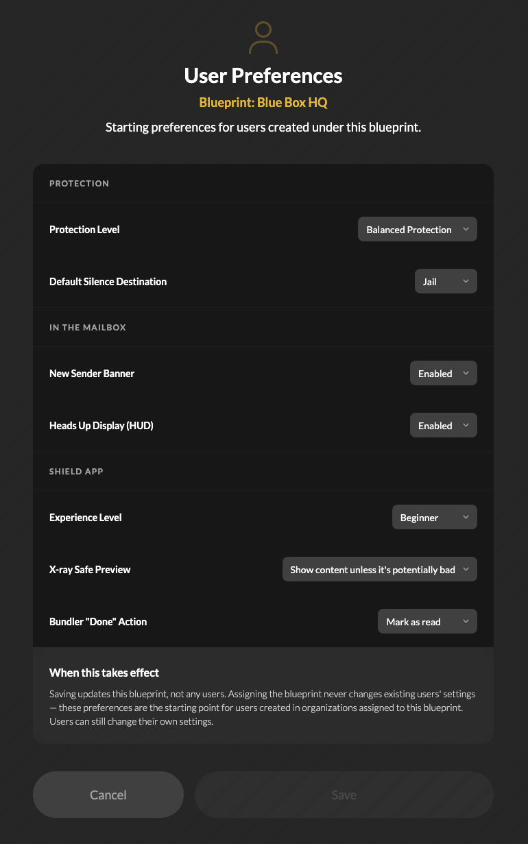 Blueprints - Default User Preferences.png